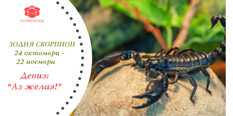 Скорпионите - експлозия от магнетизъм и емоционалност