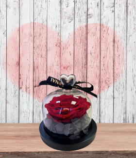 Букетче с вечна роза в стъклен купол