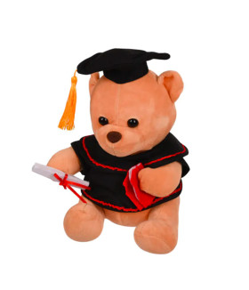 Голямо плюшено мече за дипломиране