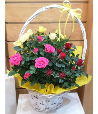 Кошница с рози