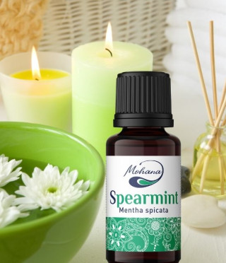 МЕНТА СЛАДКА, SPEARMINT, 10ML