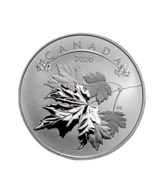 Сребърна монета Кленов лист 2020, 1/2 Oz