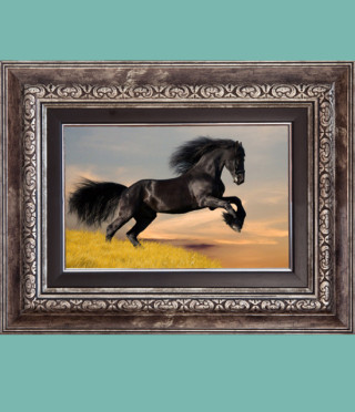 Репродукция Фризийски Ат