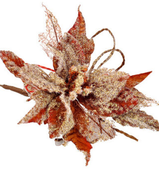 Коледна звезда мед