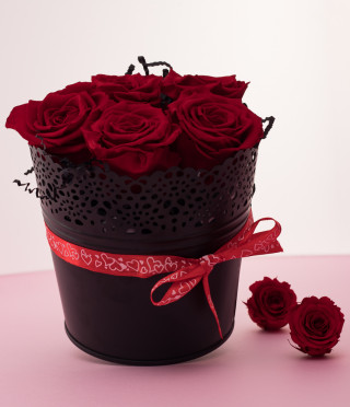 5 Everlasting roses in a black vintage pot