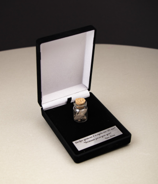 Стъклено шишенце с парченца истински метеорит