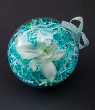 Истинска орхидея в цветна сфера