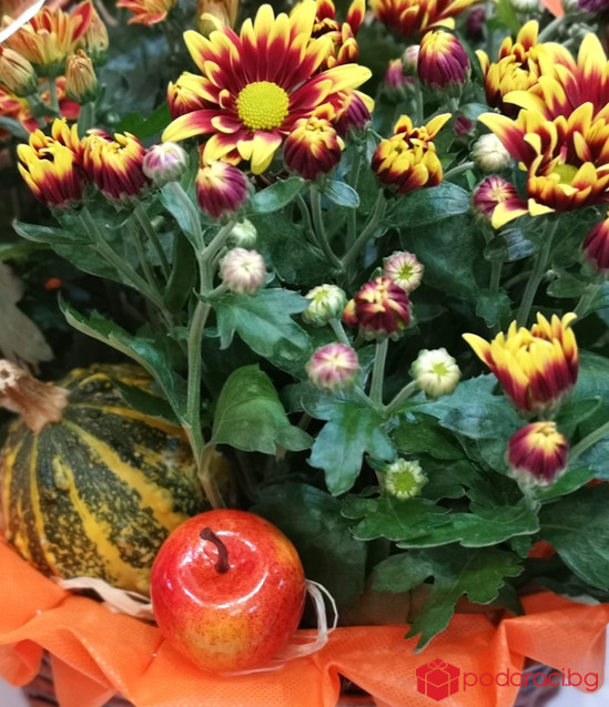 Кошница с хризантеми