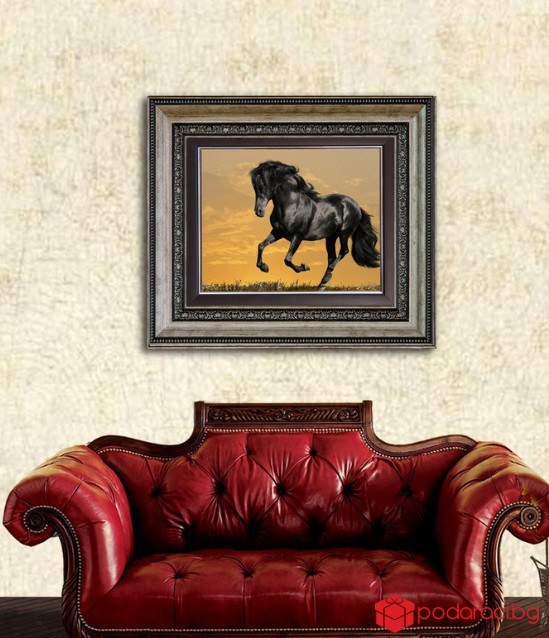 Репродукция Породист Черен кон
