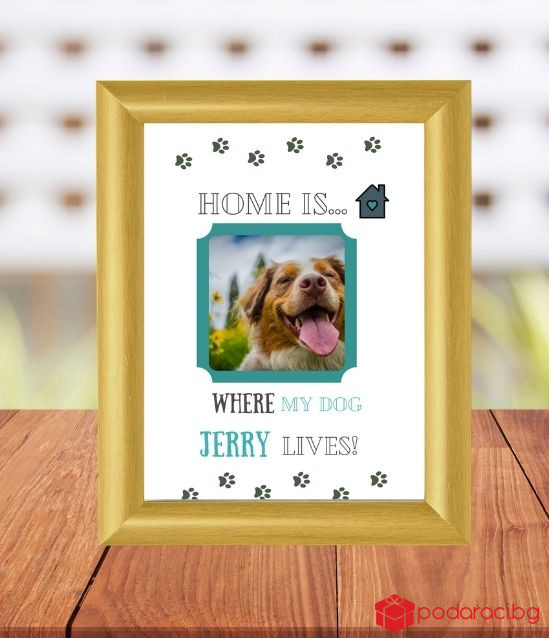 Колаж в рамка Home is where my dog lives