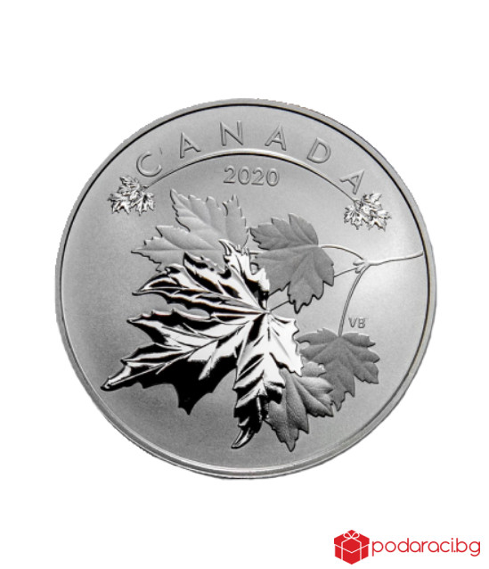 Сребърна монета Кленов лист 2020, 1/2 Oz
