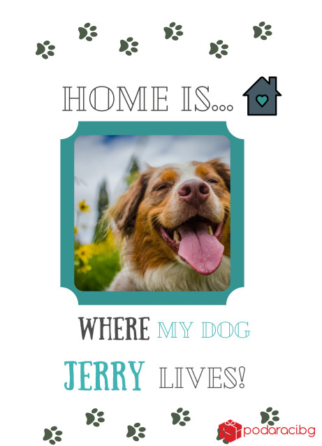 Колаж в рамка Home is where my dog lives