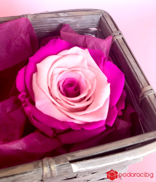 Кашпа Happy Women's Day в розово