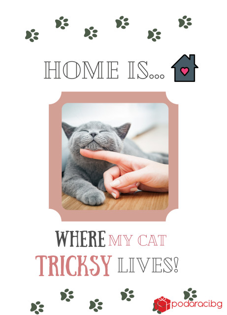 Колаж в рамка Home is where my cat lives