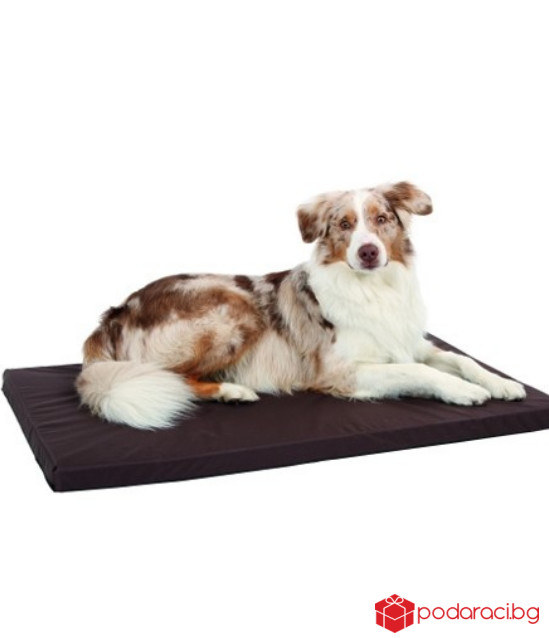 Възглавница за куче Henry (размери)