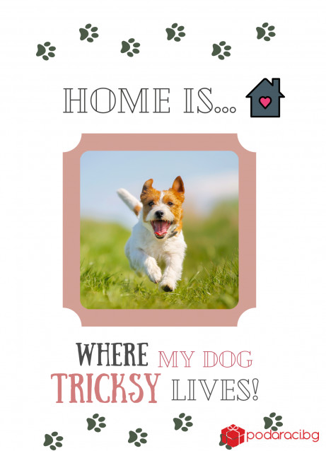 Колаж в рамка Home is where my dog lives