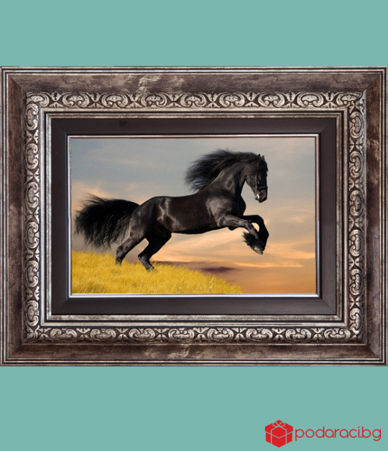 Репродукция Фризийски Ат