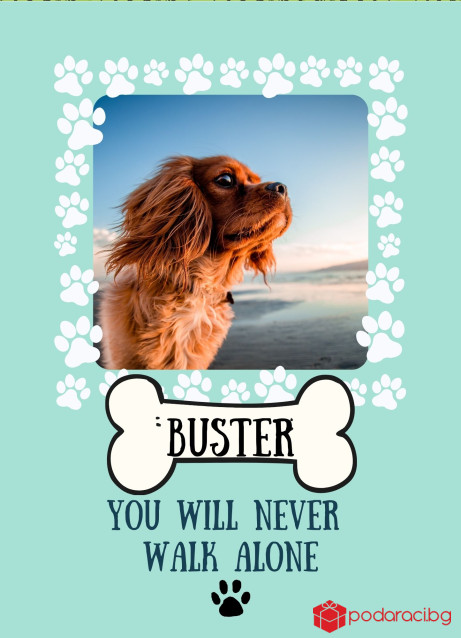 Персонализиран колаж с куче You will never walk alone