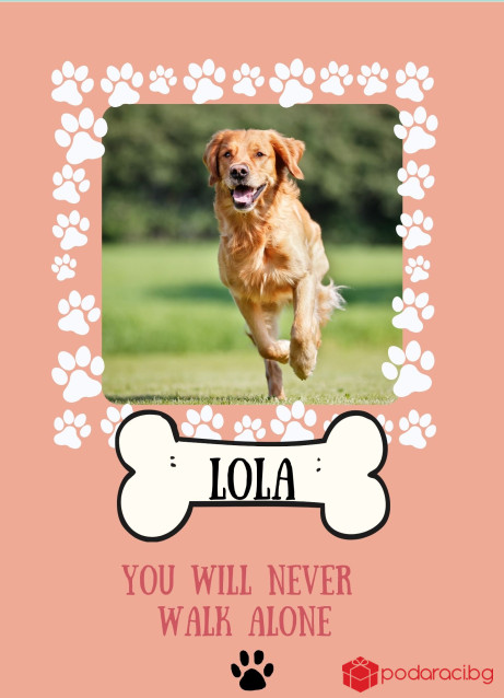Персонализиран колаж с куче You will never walk alone