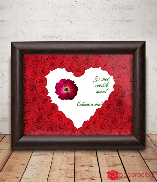 A real red rose framed for a beloved woman
