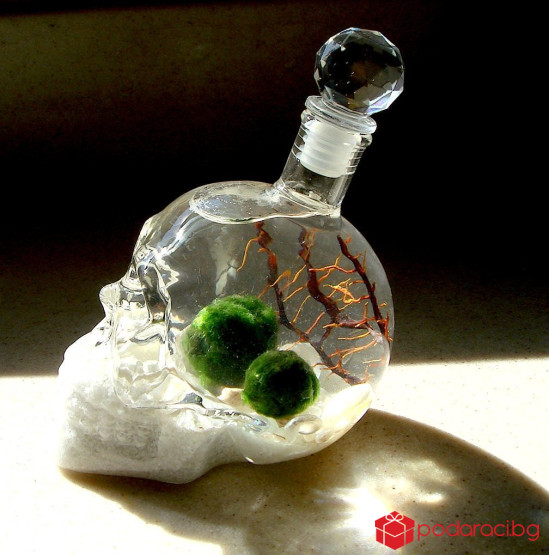 Стъклена бутилка ЧЕРЕП