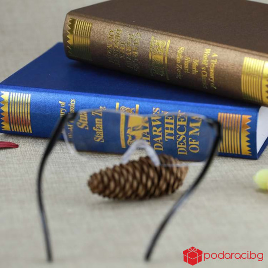 Увеличителни очила Big Vision