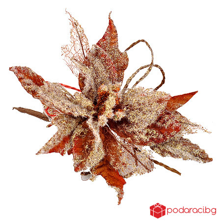 Коледна звезда мед