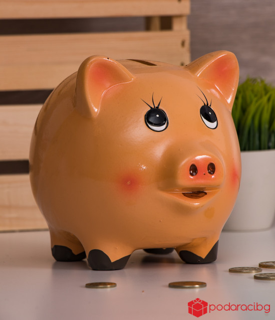 Piggy Bank Orange Piggy
