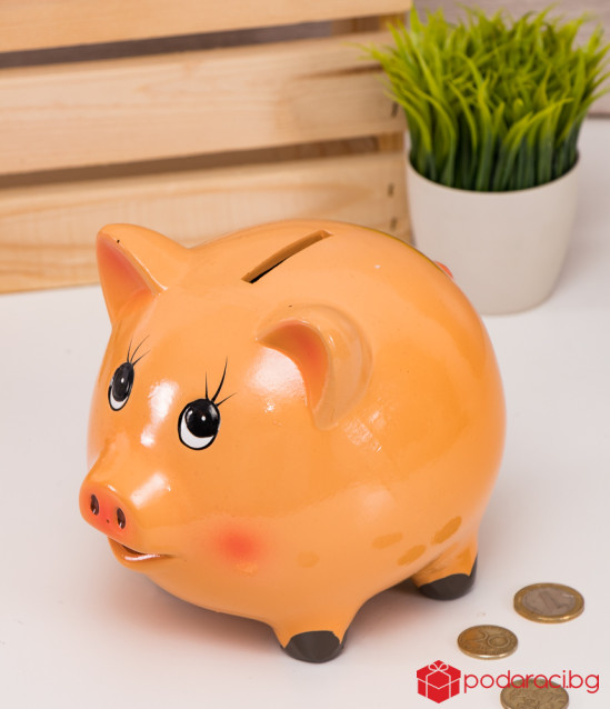 Piggy Bank Orange Piggy