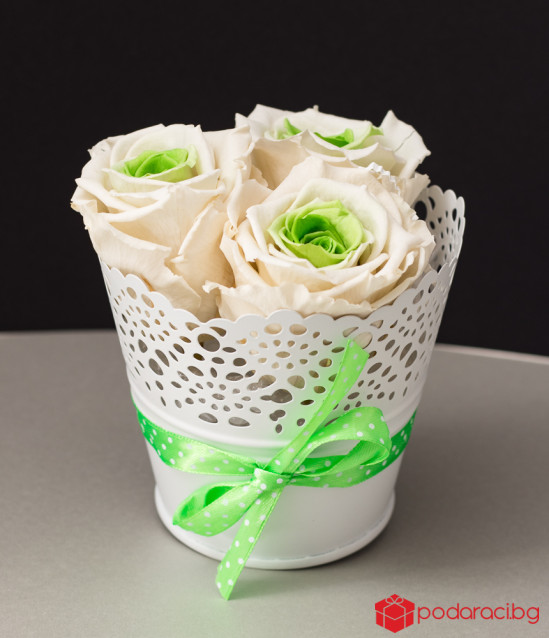 Малка дантелена кашпа в бяло с 3 вечни рози