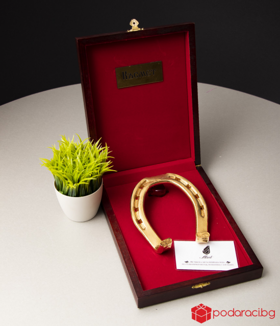 Horseshoe with 24k gold plated