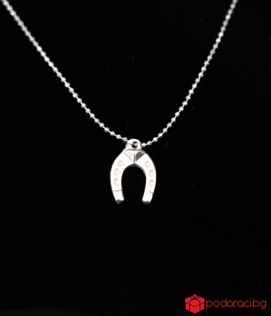 Silver Necklace Horseshoe