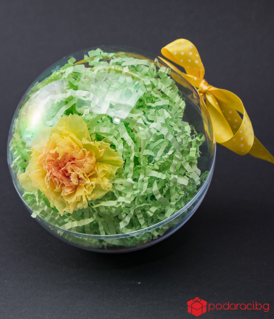 Истински карамфил в цветна сфера