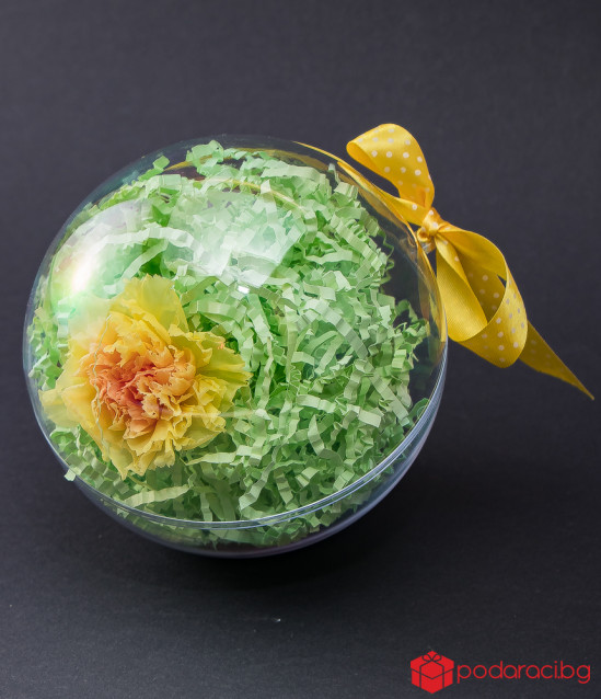 Истински карамфил в цветна сфера