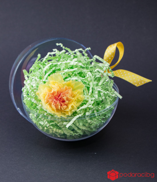 Истински карамфил в цветна сфера