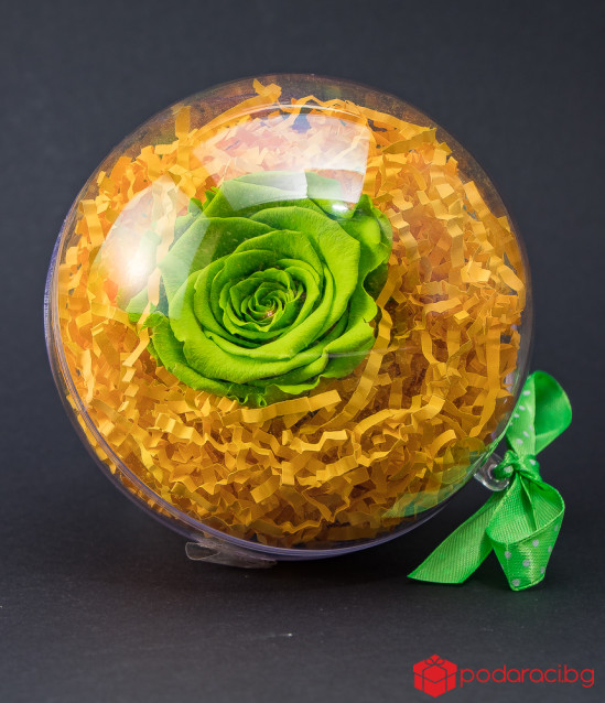 Вечна роза в цветна сфера