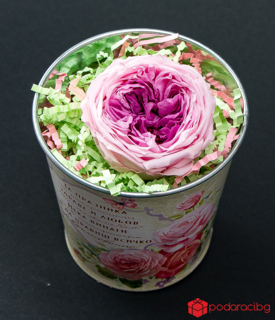 Английска роза в метална кашпа с послание