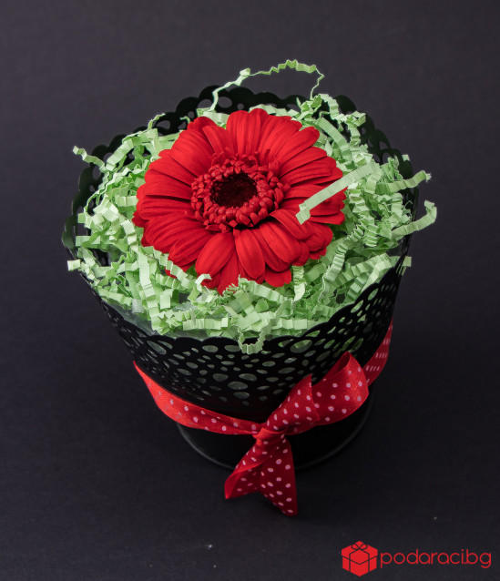 Истински гербер във винтидж кашпа