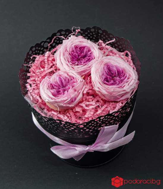 Английска роза в черна метална кашпа