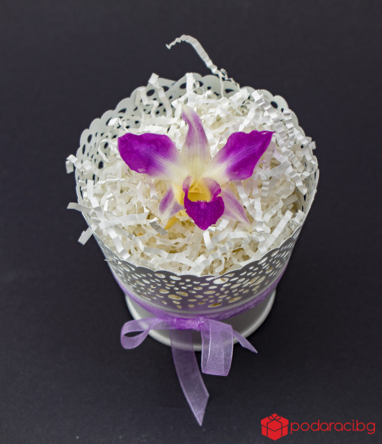 Истинска орхидея във винтидж кашпа