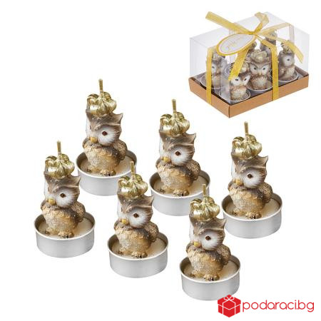 Свещи бухалчета с коронки 6 бр.