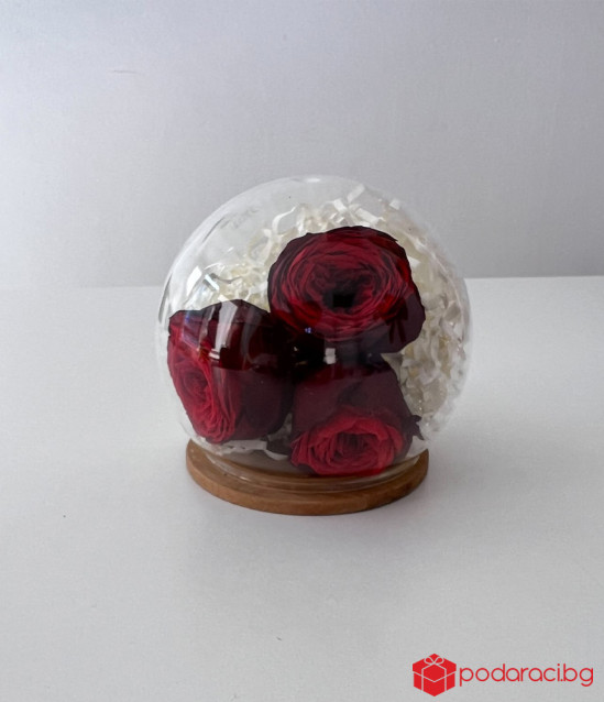 3 английски рози в стъклен купол