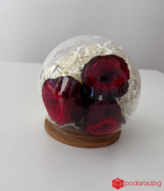 3 английски рози в стъклен купол