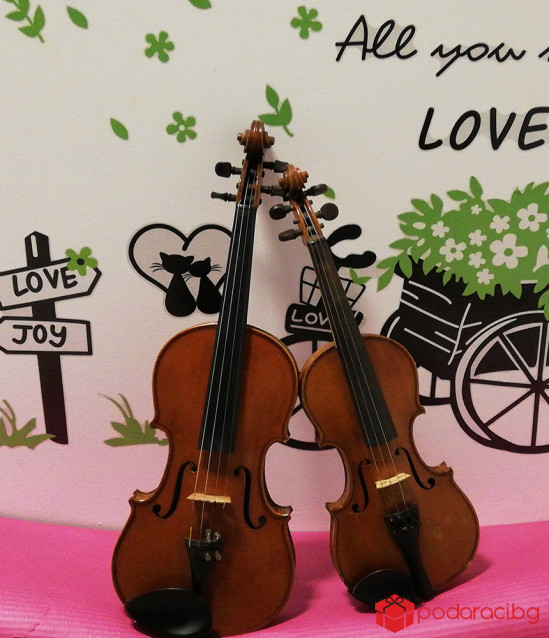 Урок по цигулка за двама в София