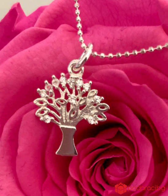 Women's silver necklace the Tree of Life