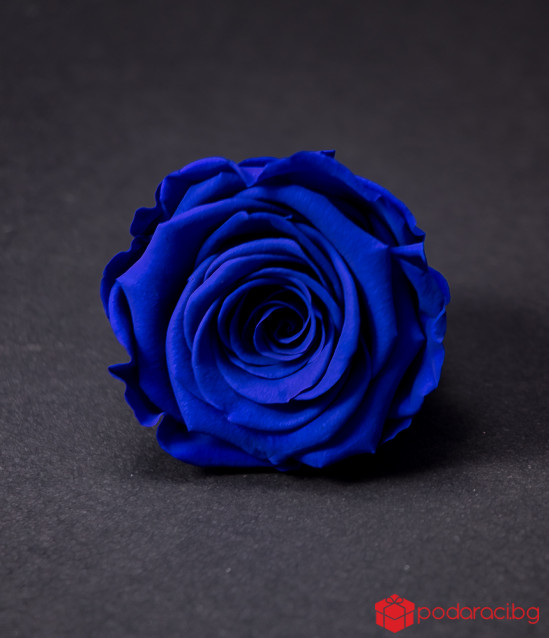 Вечни рози в прозрачна кутия