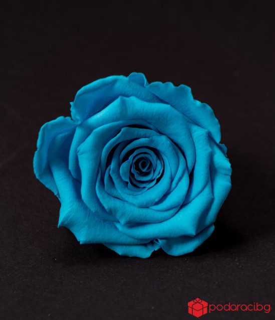 Вечни рози в прозрачна кутия