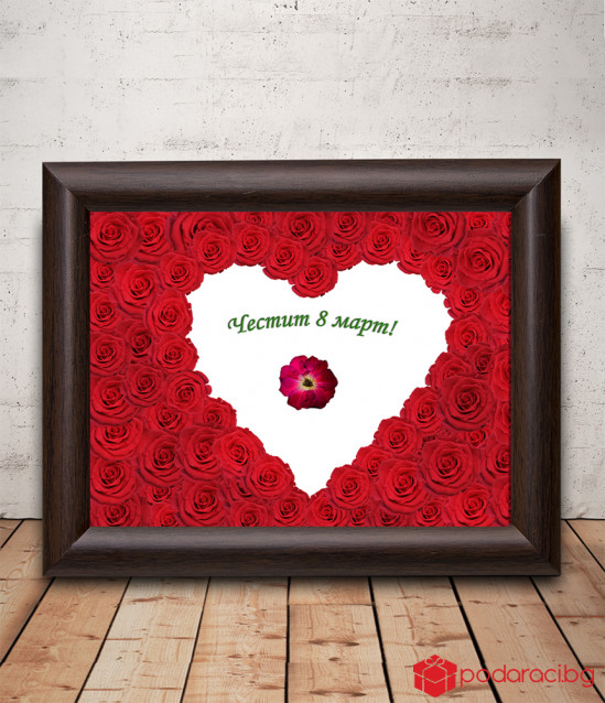 A real red rose framed for March 8