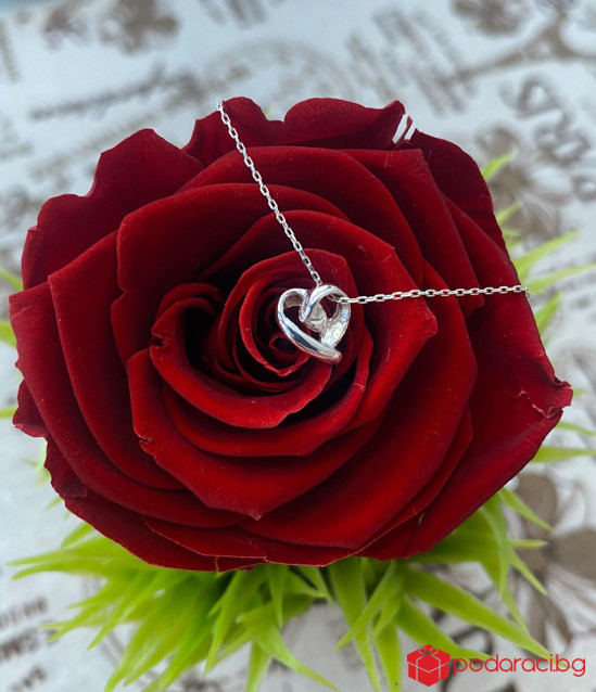 Сребърно колие Сърчице