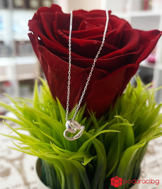 Сребърно колие Сърчице